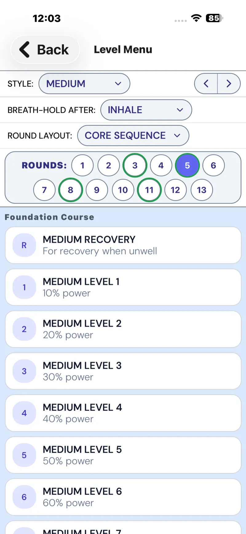 App showing 13 progressive learning levels